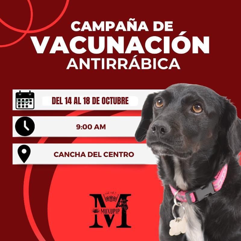 Campaña de vacunacion antirrábica